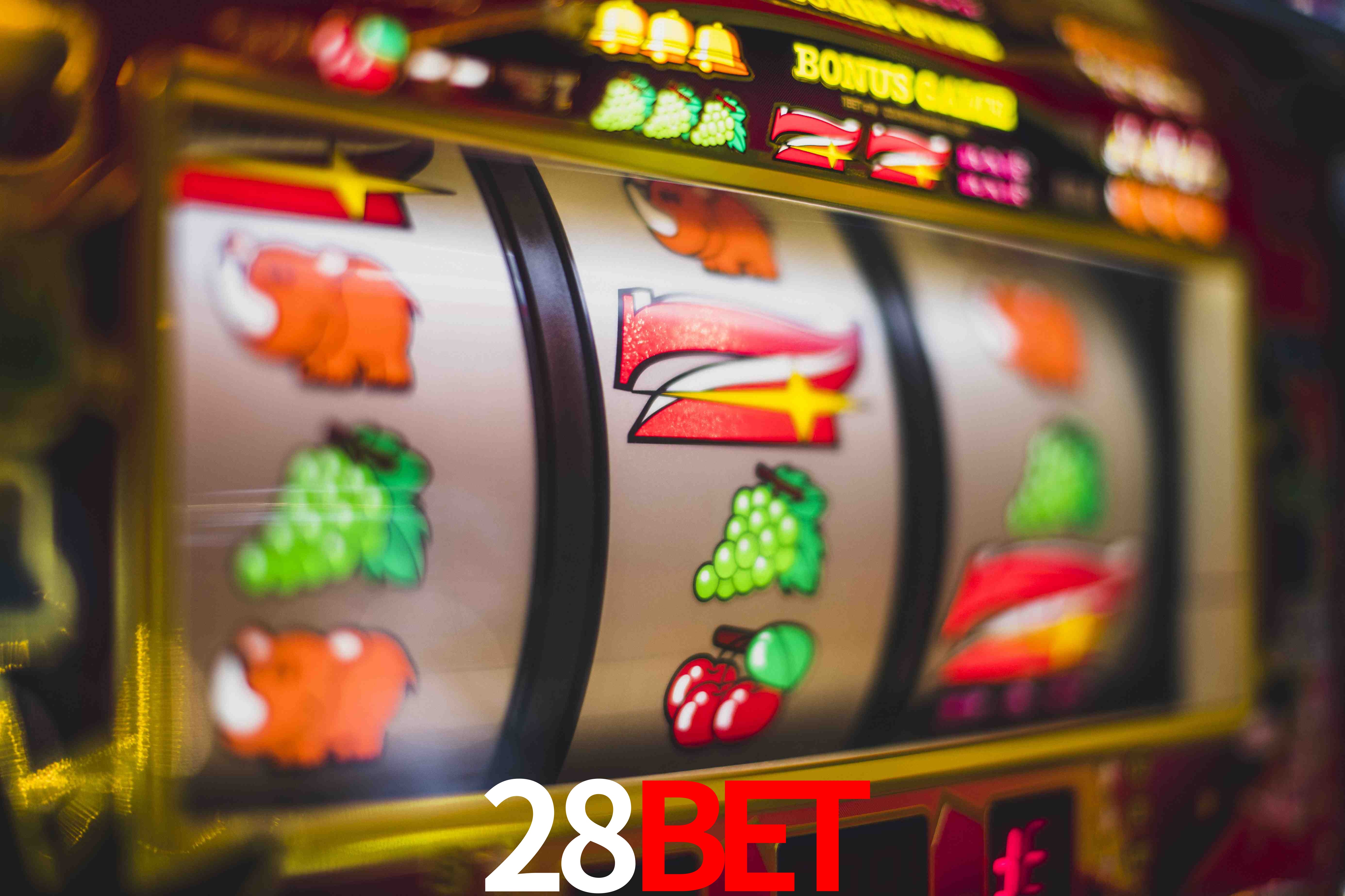 Statistics 28bet